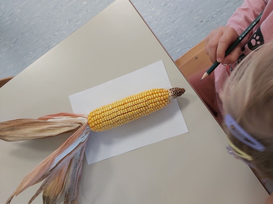 20241007 093555 optimized 200