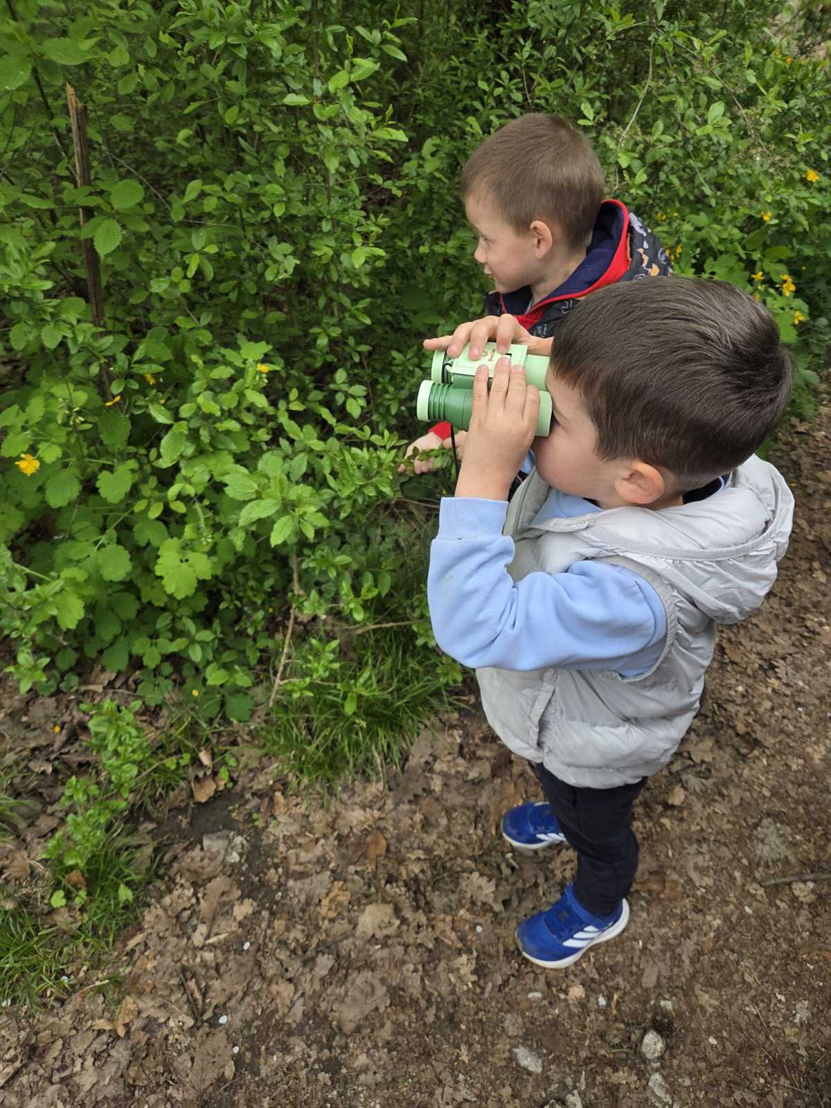 IMG 43167be42619a0294a830f8b06a18292 V