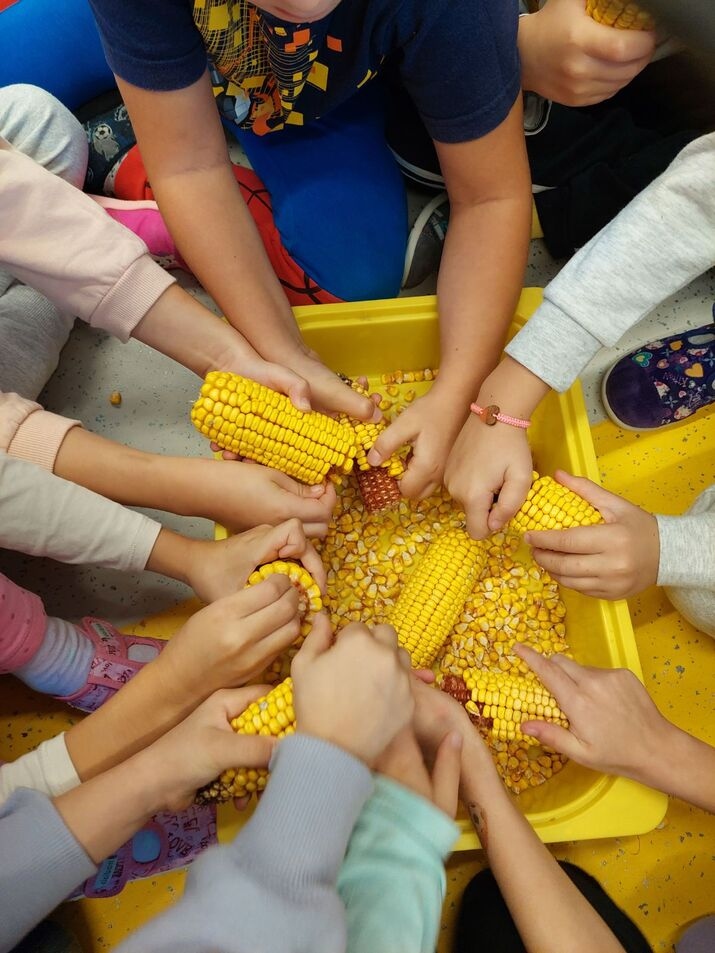 IMG 44a29ebda94f5cd9a2f217aa45d07ad4 V optimized 200