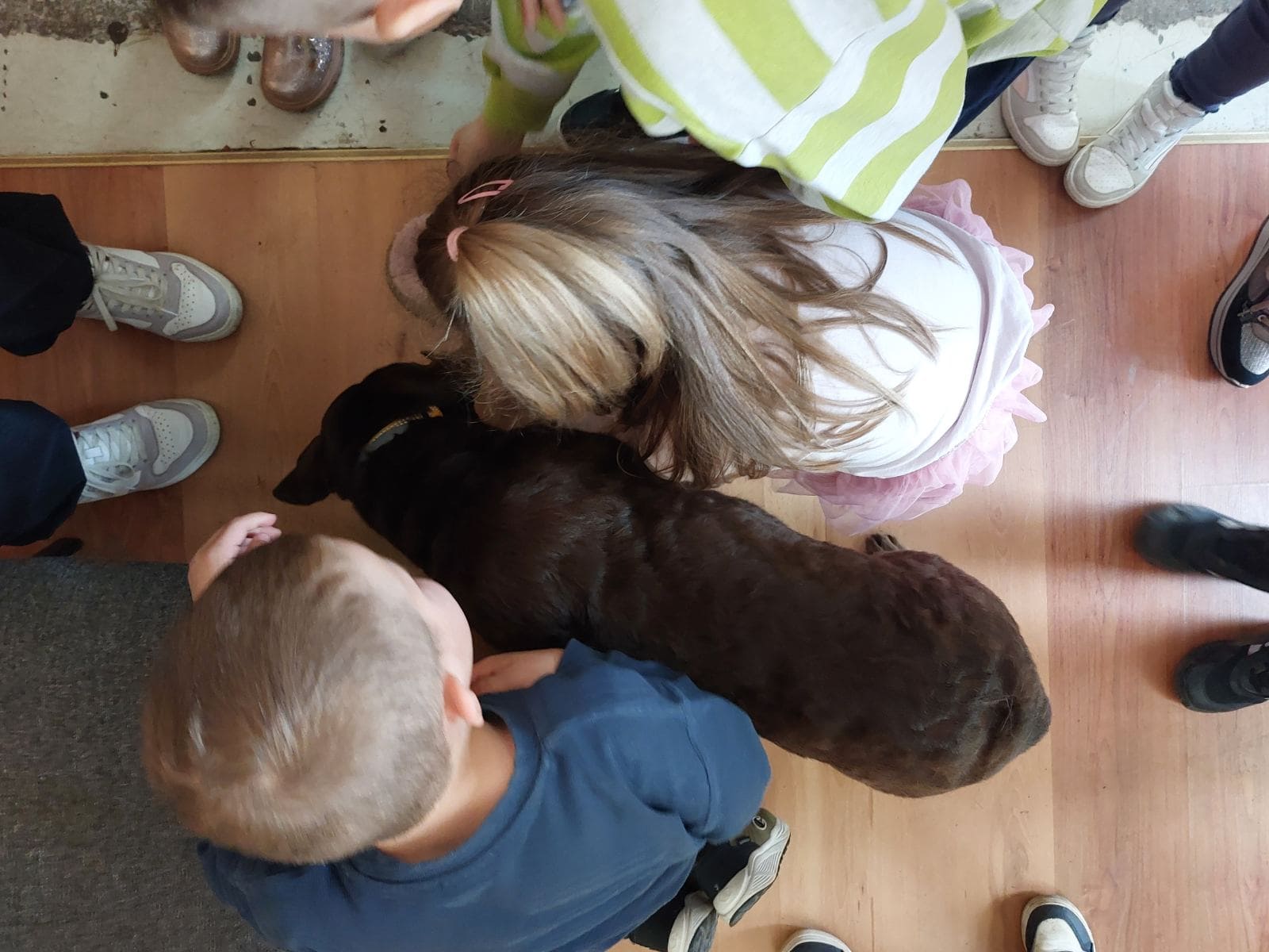 IMG 9fb10eba42d581284035b931a91cc8d2 V