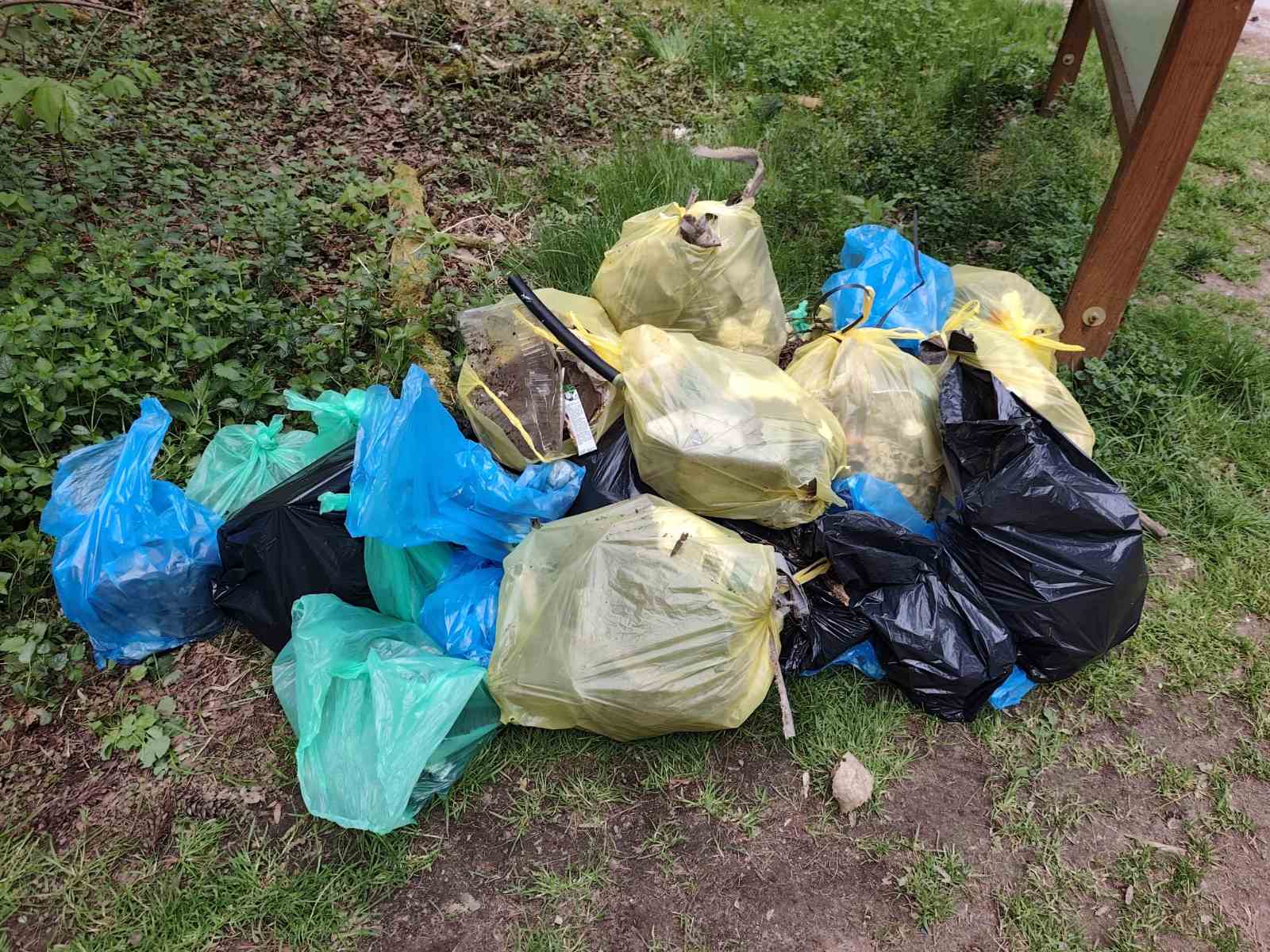 IMG e5537eb6b4d5f2f06fb5b9ec59e917d2 V