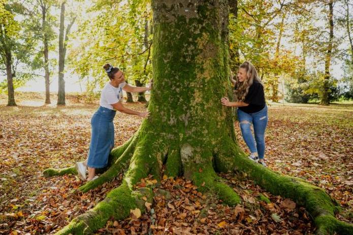 Stablo koje govori4 obrađeno